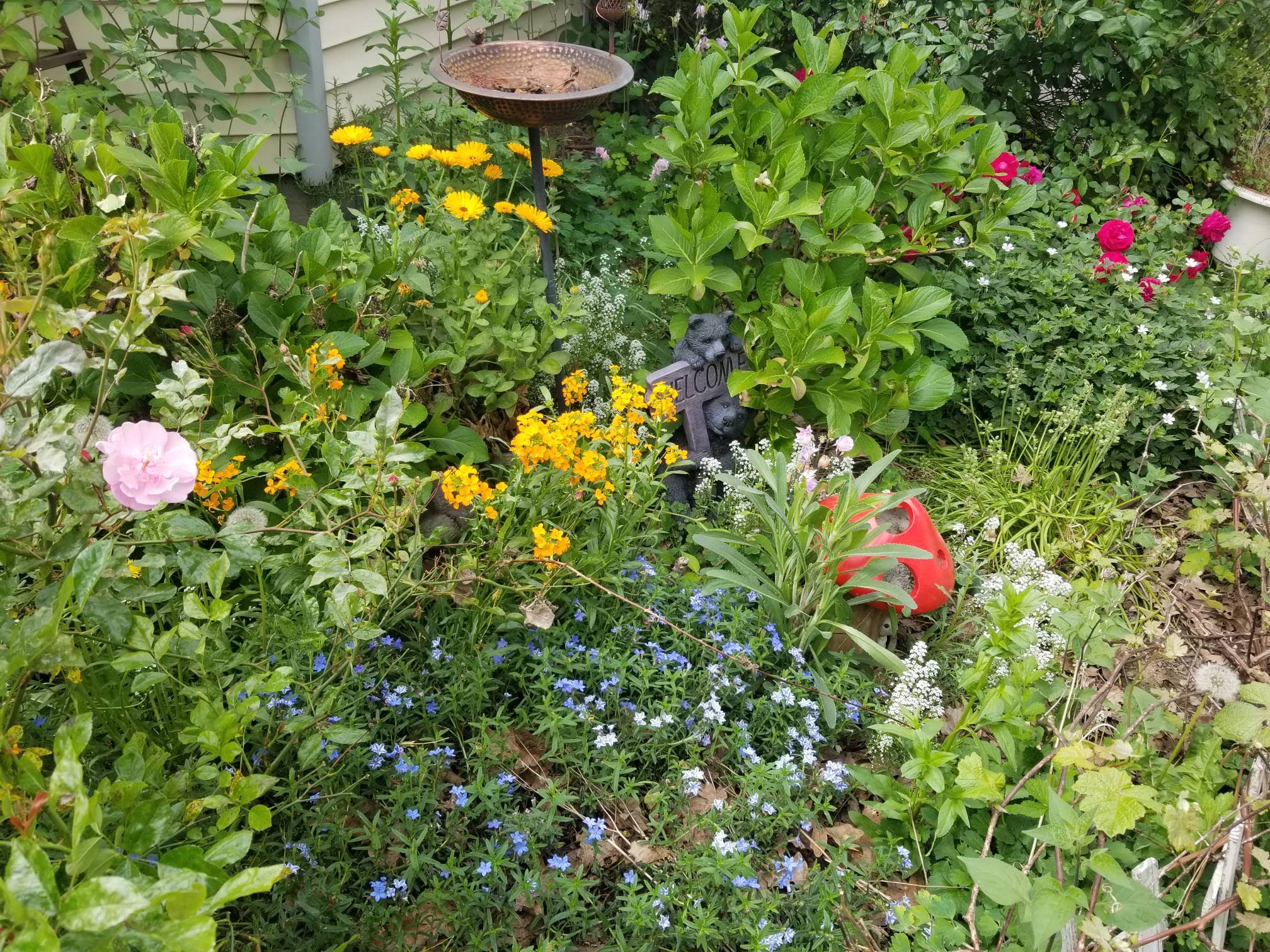 Colorful pollinator garden at Seventh Heaven Homestead